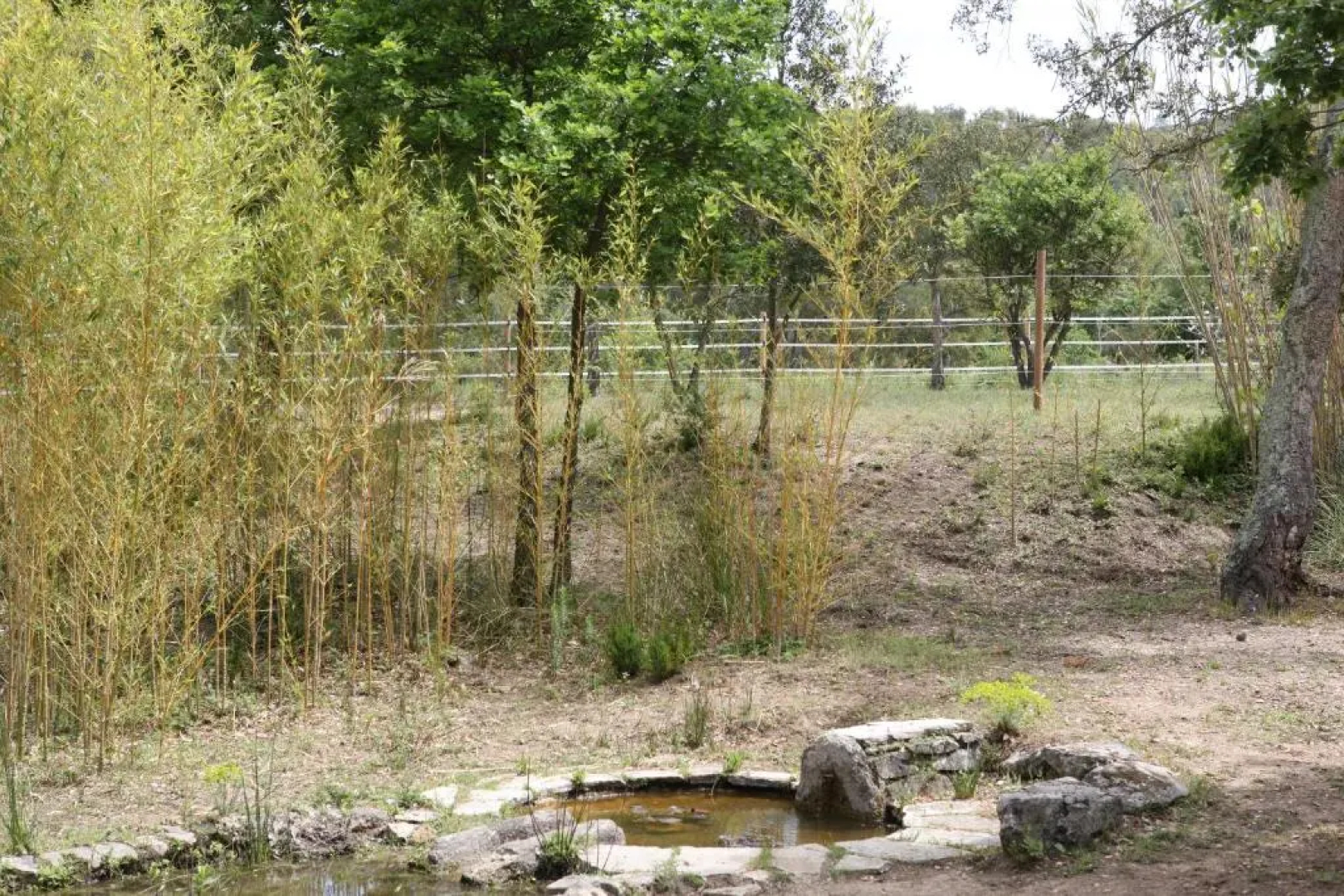 Villa Villekulla dépendance avec spa privatif