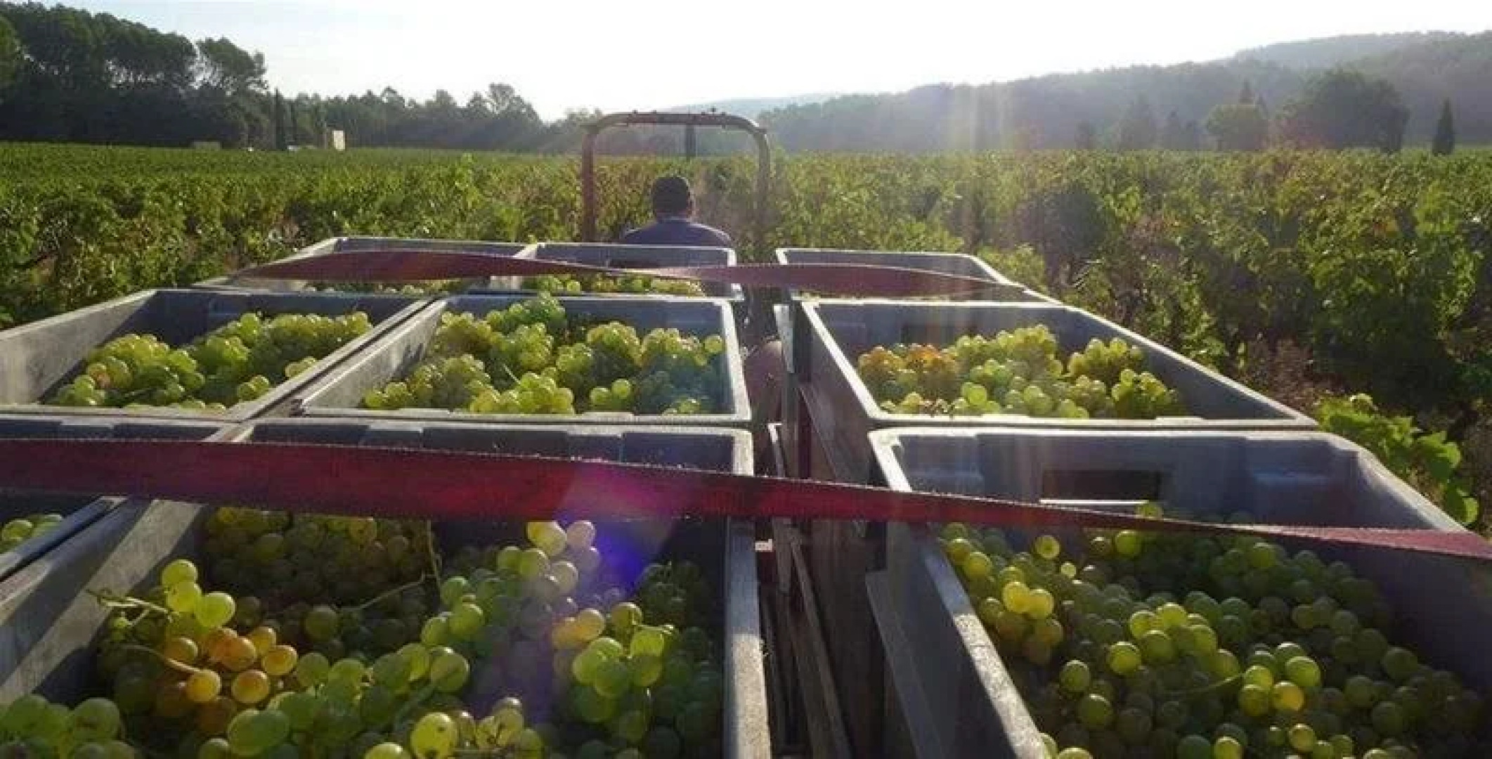 Domaine Clos de LOurs