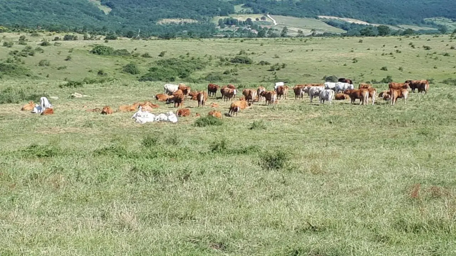 San Costanzo Appartamenti Vacanze