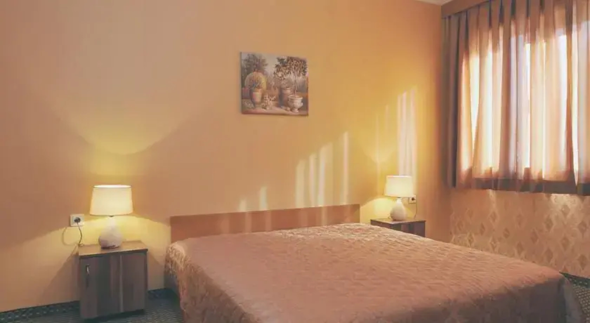 Rodopi Hotel