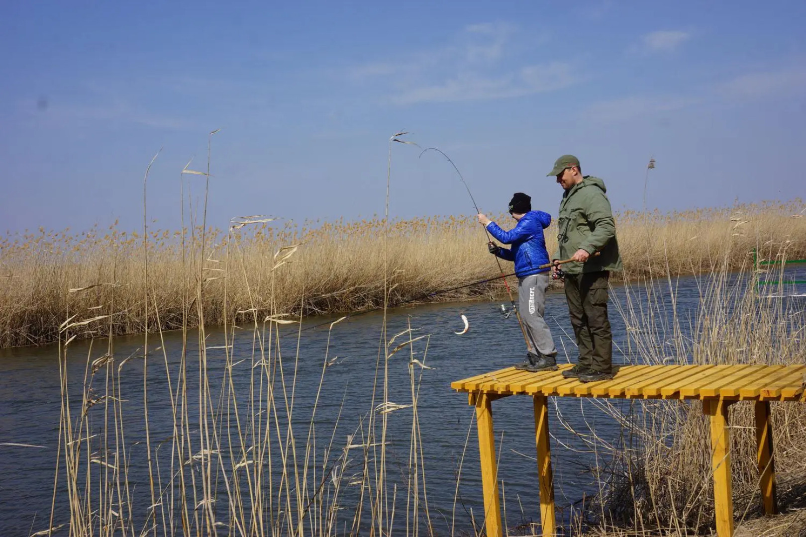 Остров Колочный