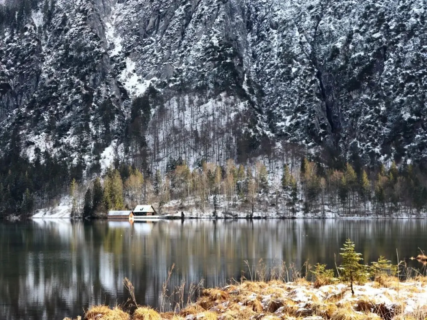 Spatzennest Gr nau im Almtal