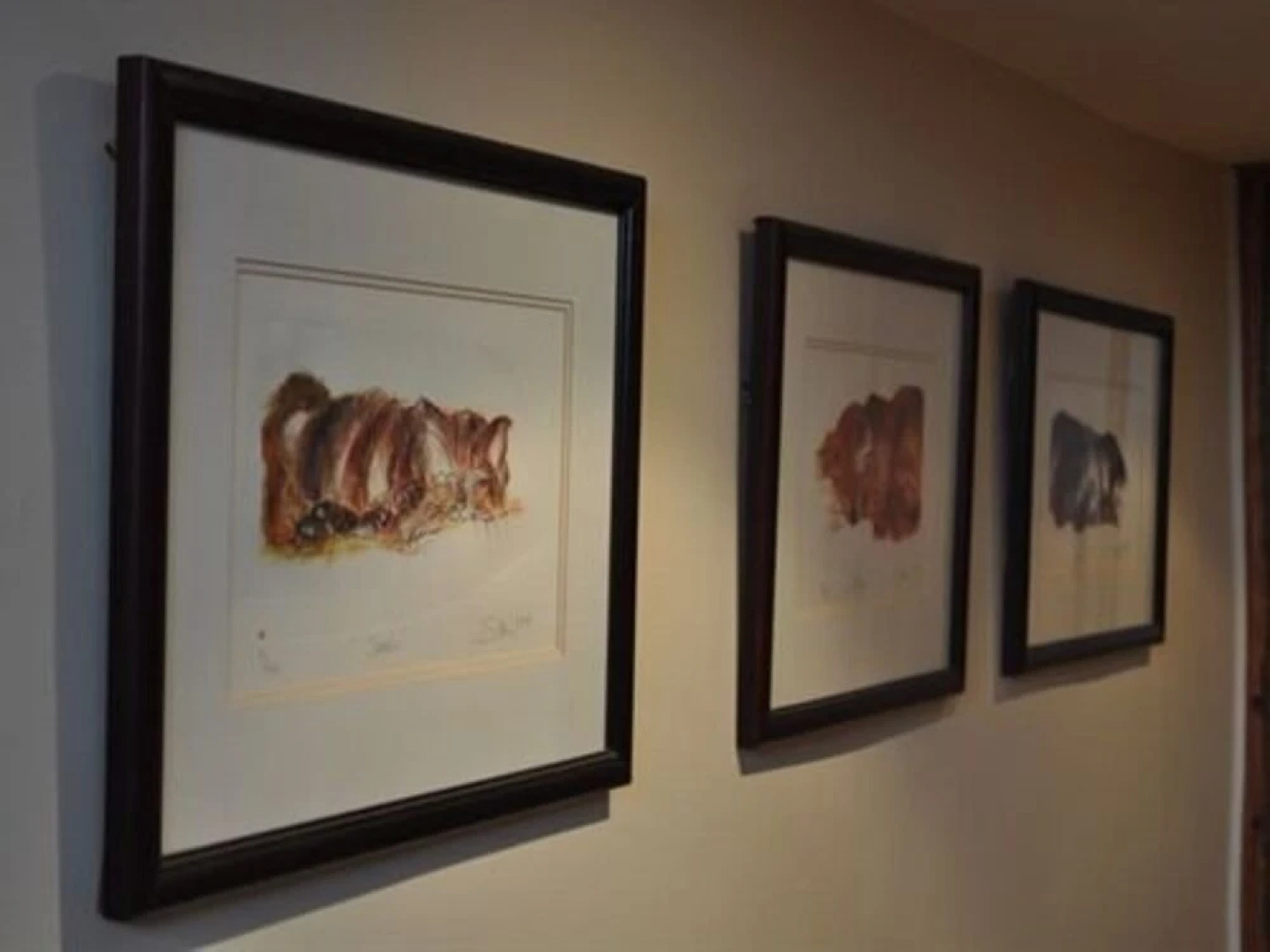 Old Ivy House Bed & Breakfast