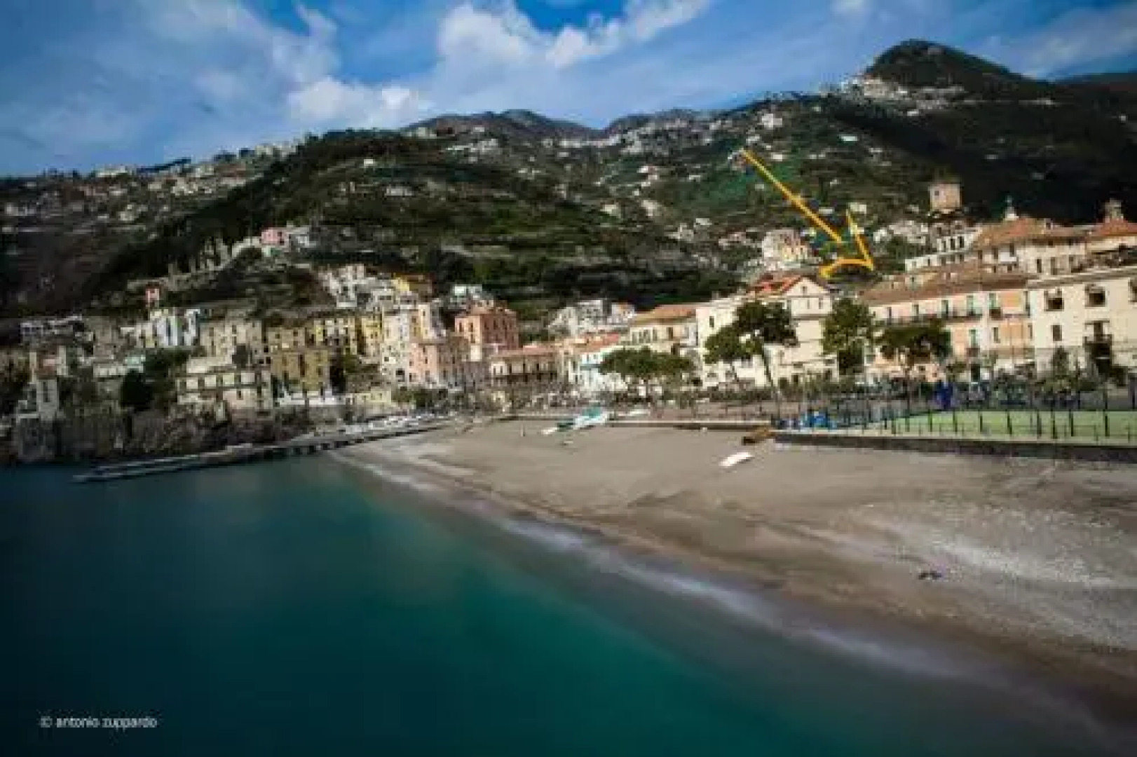 Brasca 2018 Rosa Canina