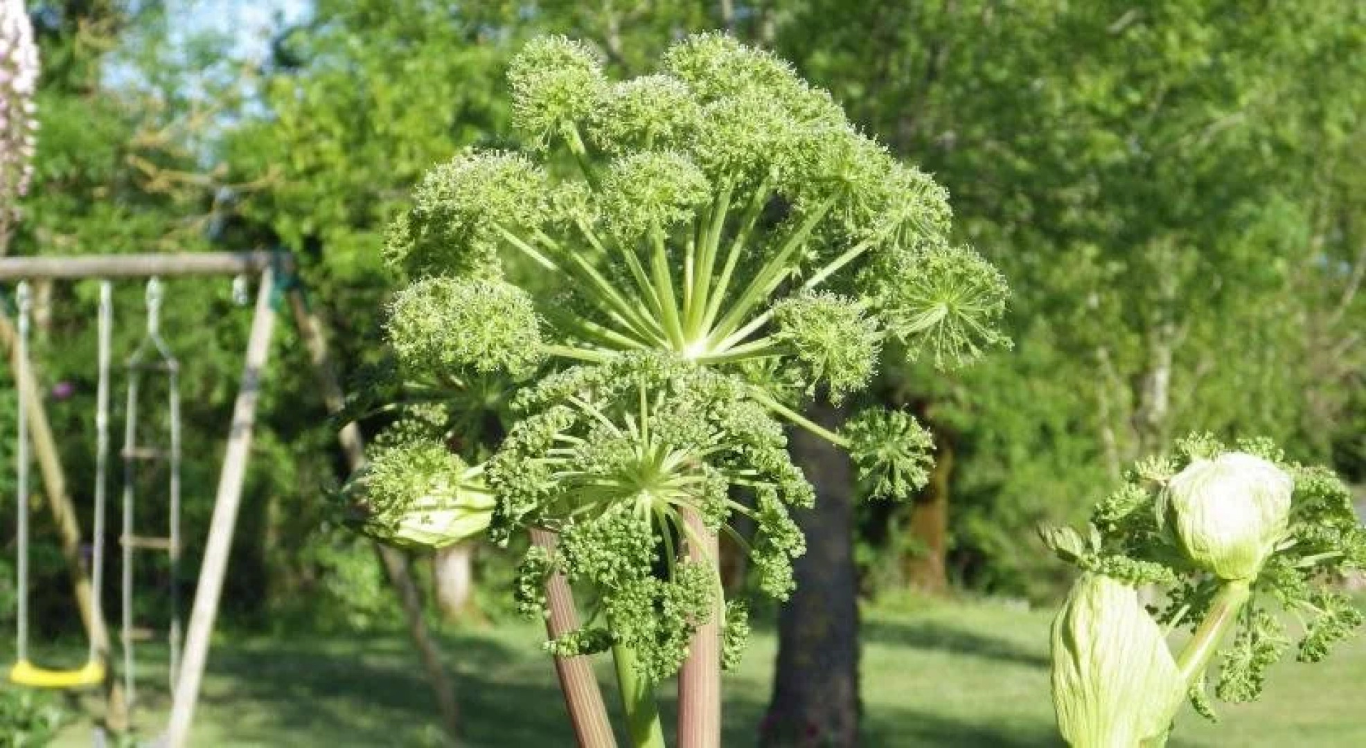 Chambre dHôtes Le Moulin