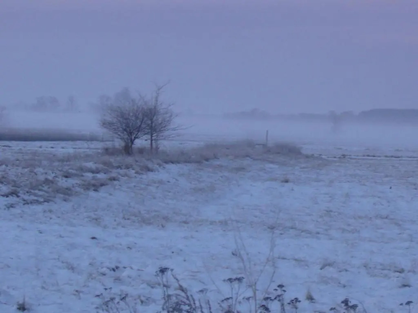 "Ferienwohnungen Wiesenblick"