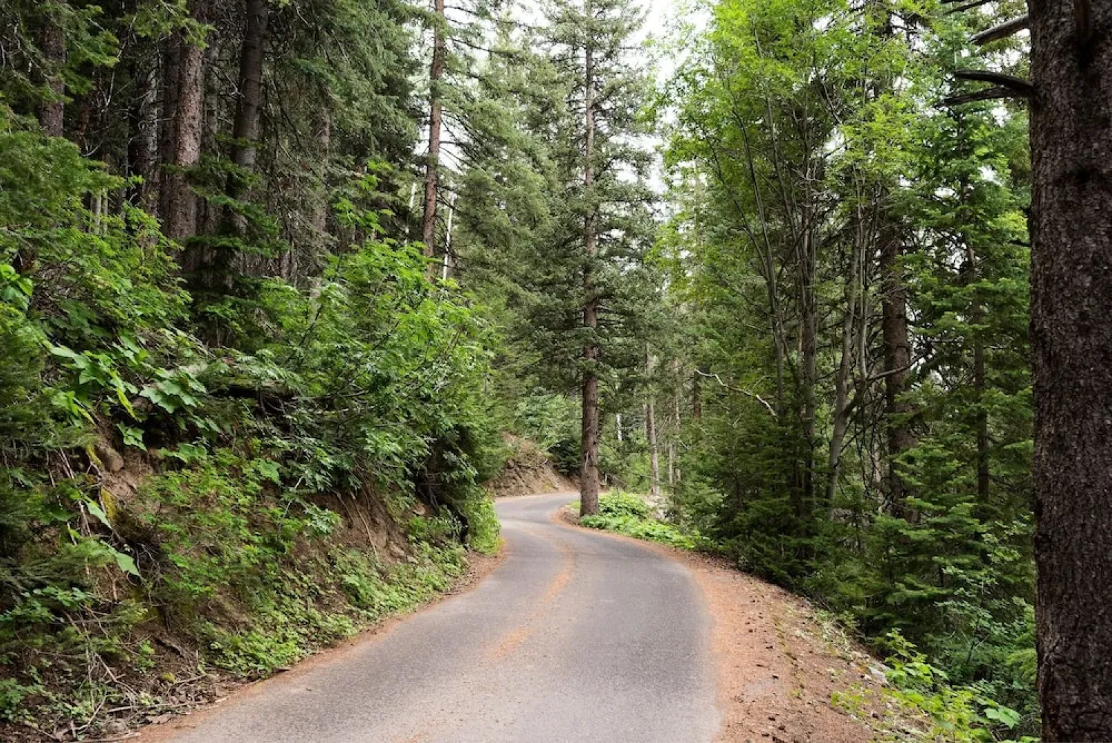 11373 Church - 1 Br Cabin