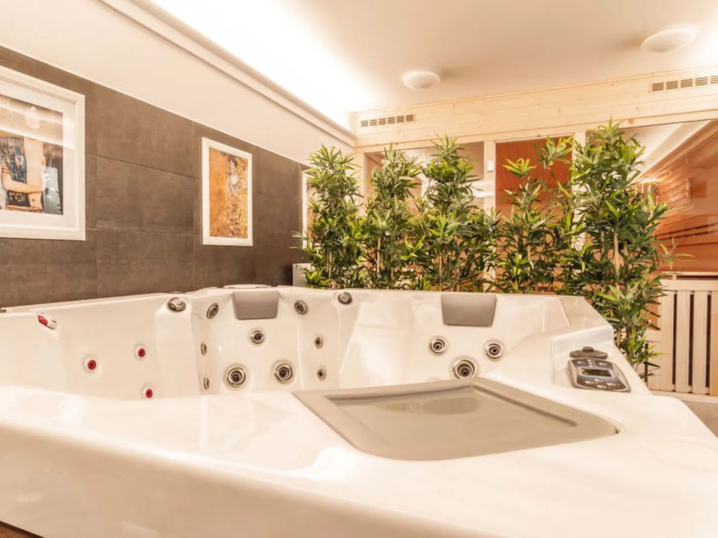 Lakeside Village (+ sauna) 27377