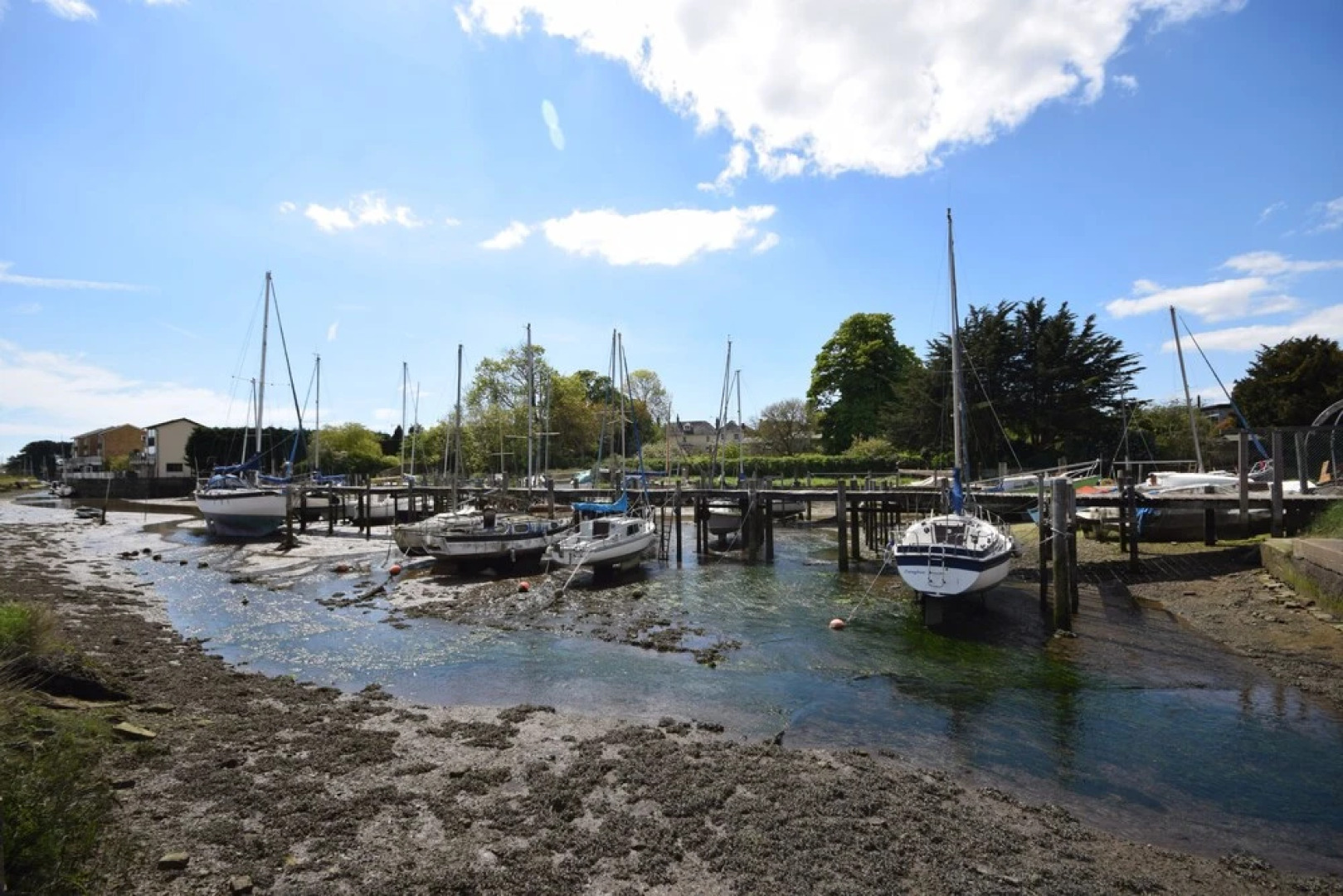 Dolphin House 490929