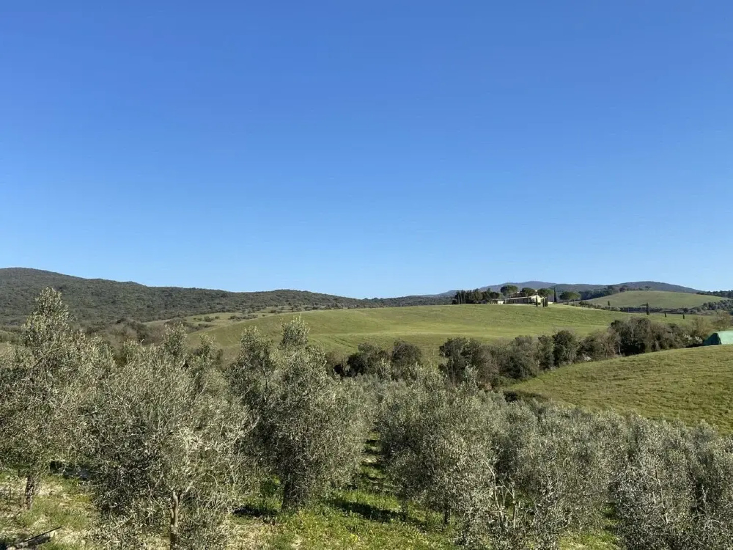 Il Fienile Bibbona in Bibbona