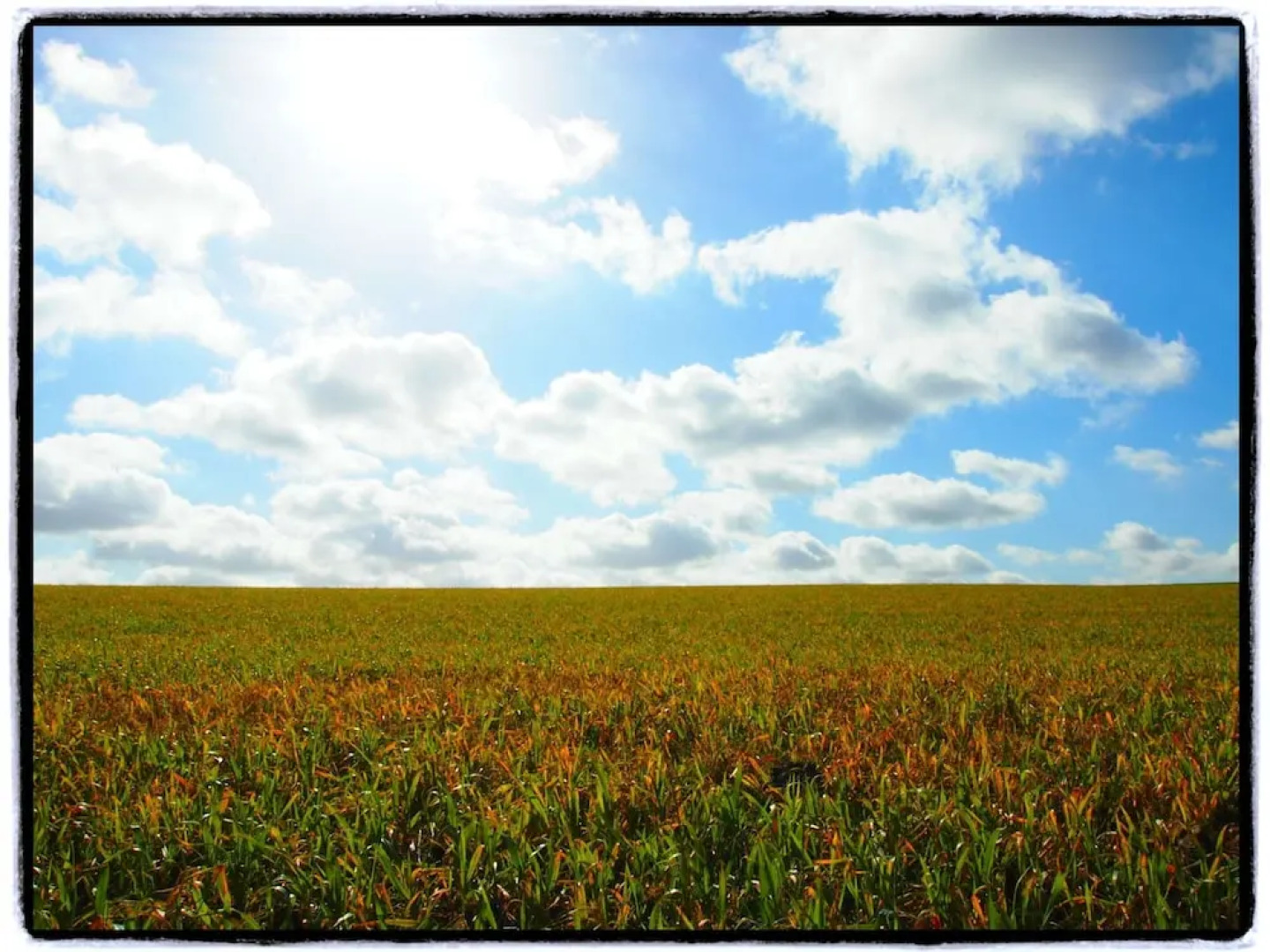 Holiday Home With Terrace in Ellezelles