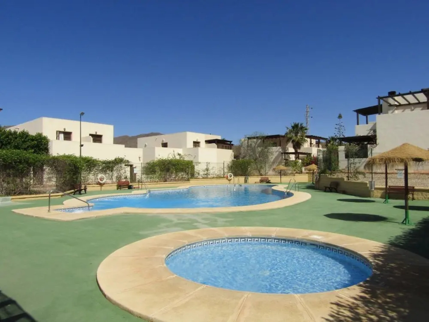 Caballo de Mar Frison