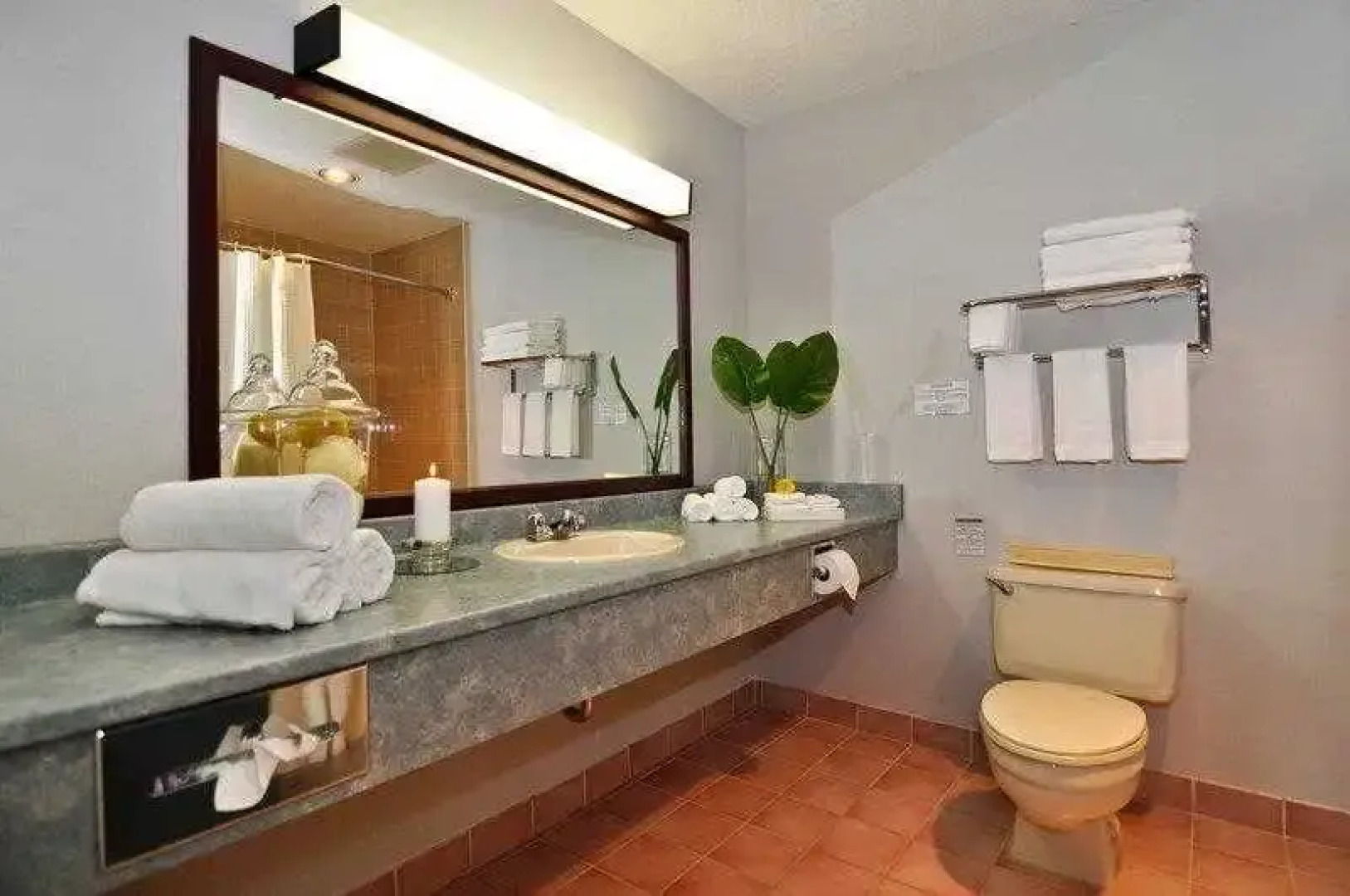 Best Western Plus Manoir Adelaide