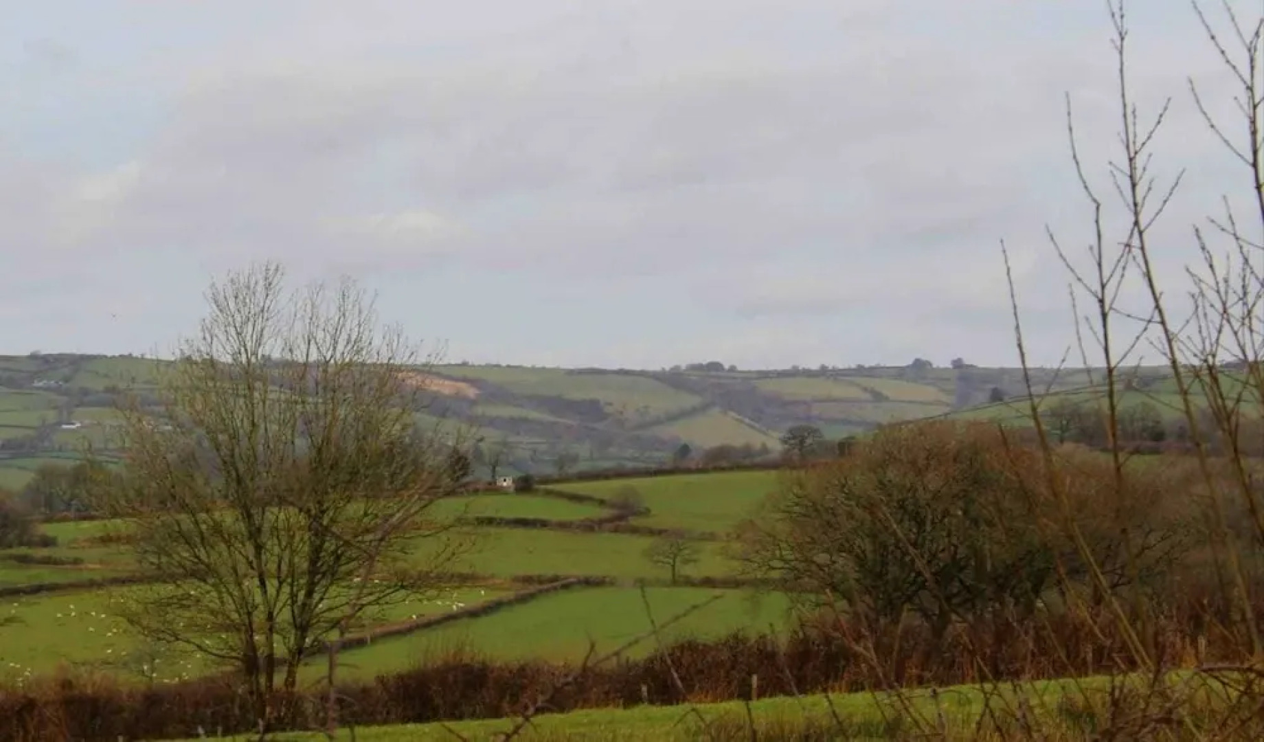 The Shearer's Hut, Sleeps 2, Wood Burner, Fire Pit