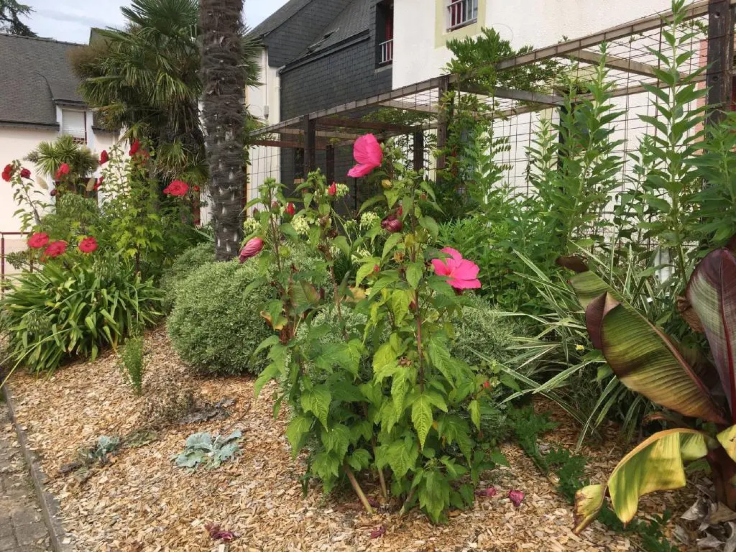 Brit Hotel Le Branhoc