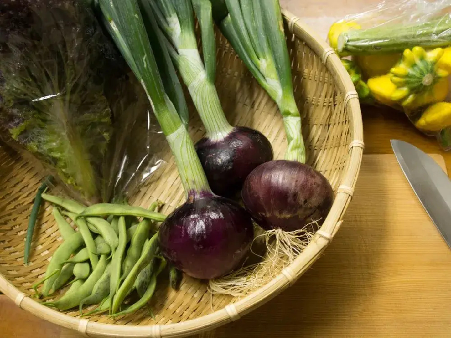 SUKIYA-zukuri Suehiro House