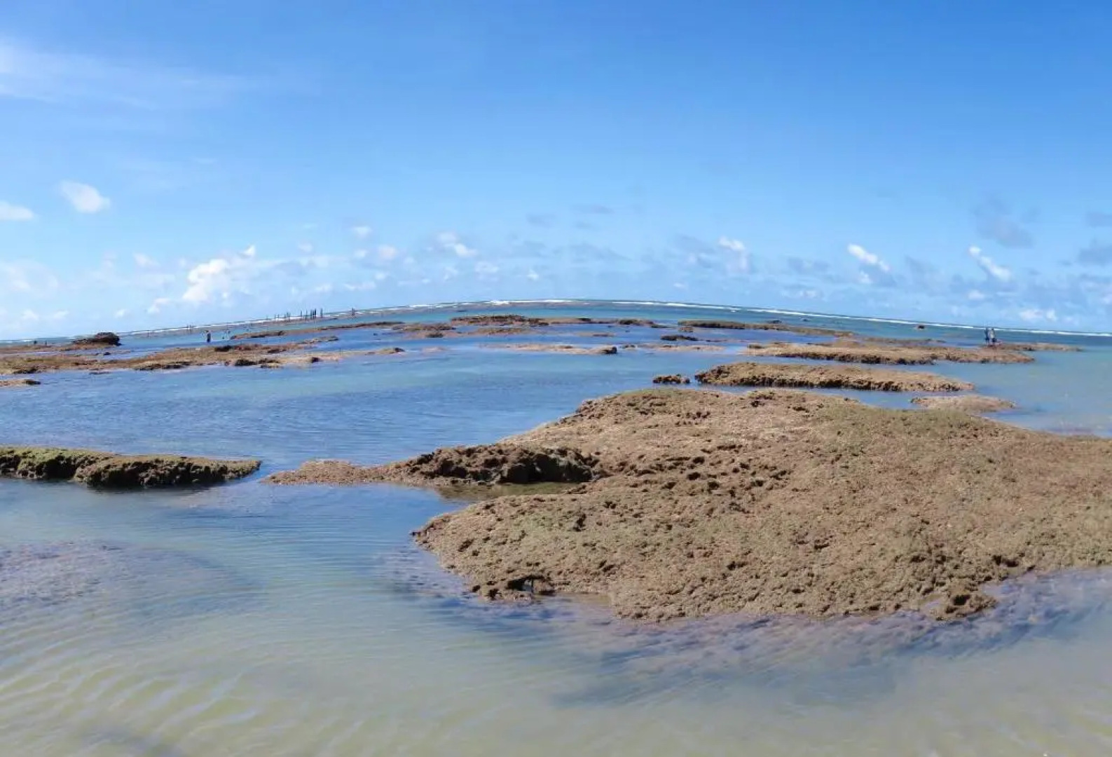 Pousada Casa Do Alemão