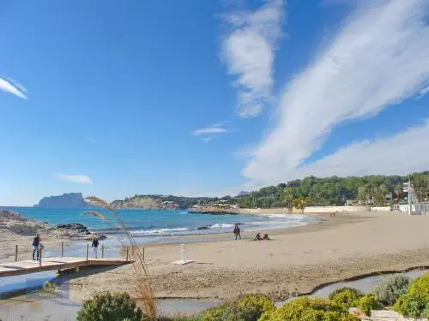 Jardines de Montemar