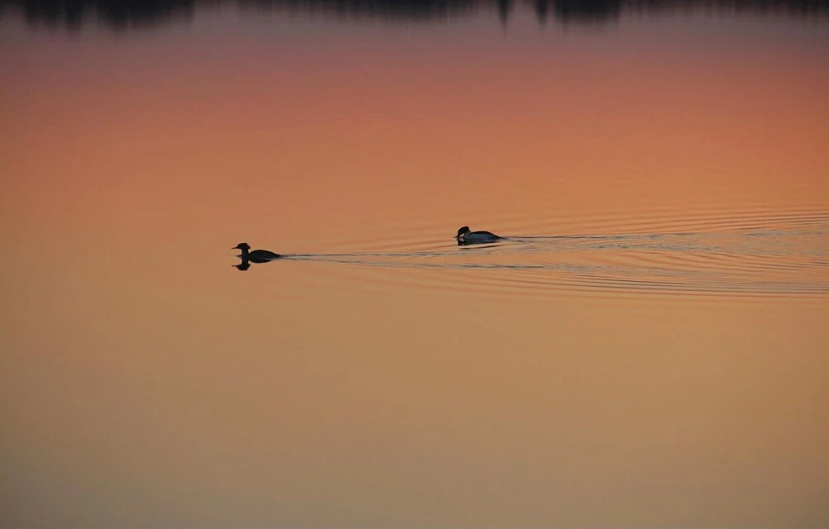 Nice Home in Lekeryd With 5 Bedrooms and Wifi