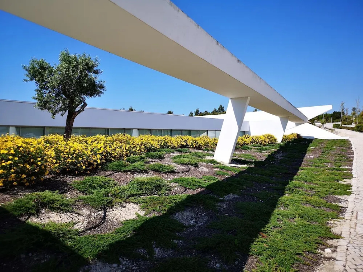 Morden Archictectural Villa In Lisbon