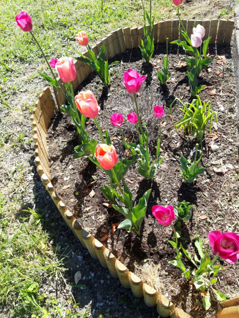 Pilikán Apartments - Park - Vineyard & Sheep farm