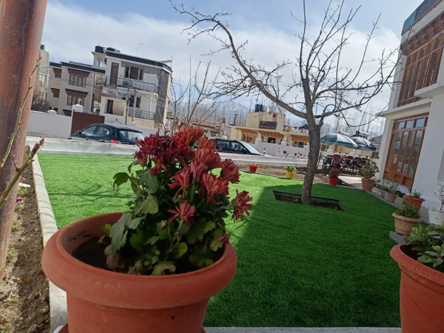 Millennium Guest House And Hotel