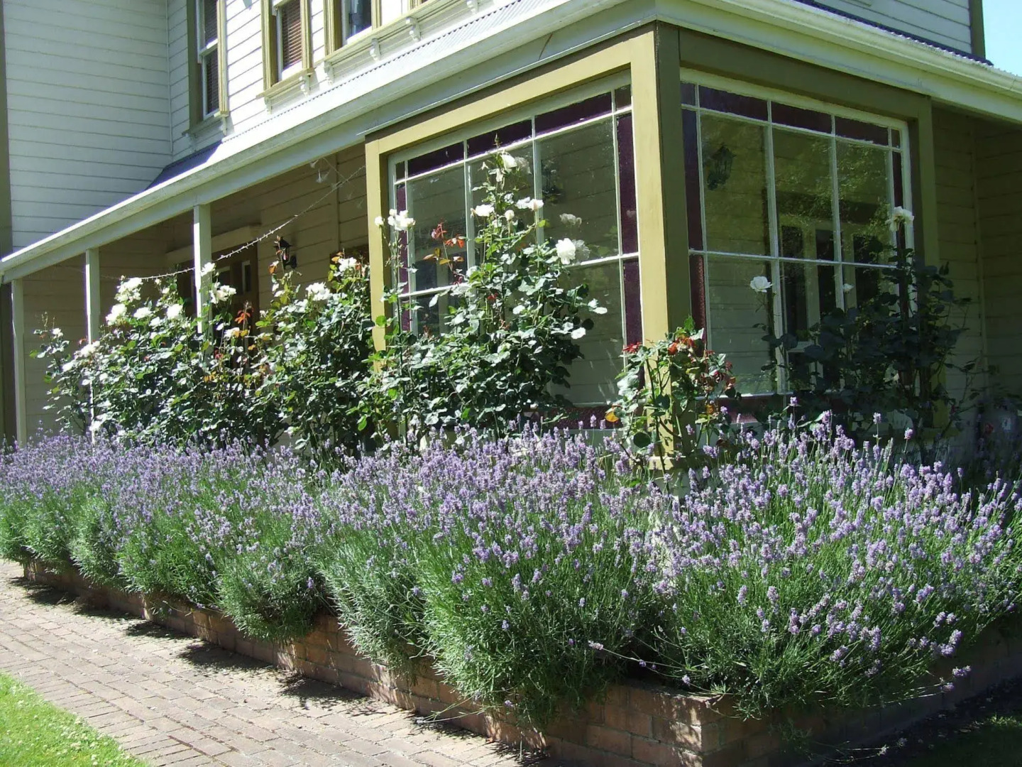 Tairoa Lodge & Cottage