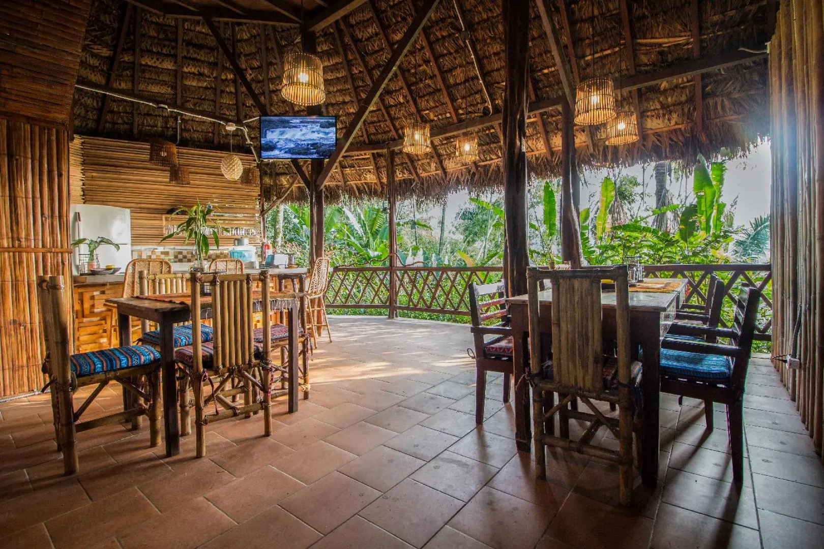 Socia/tel Amazon Tena