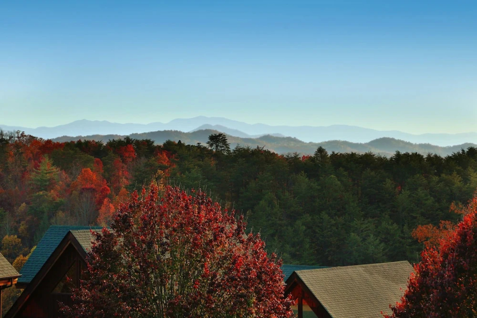 Arden Hill by RedAwning