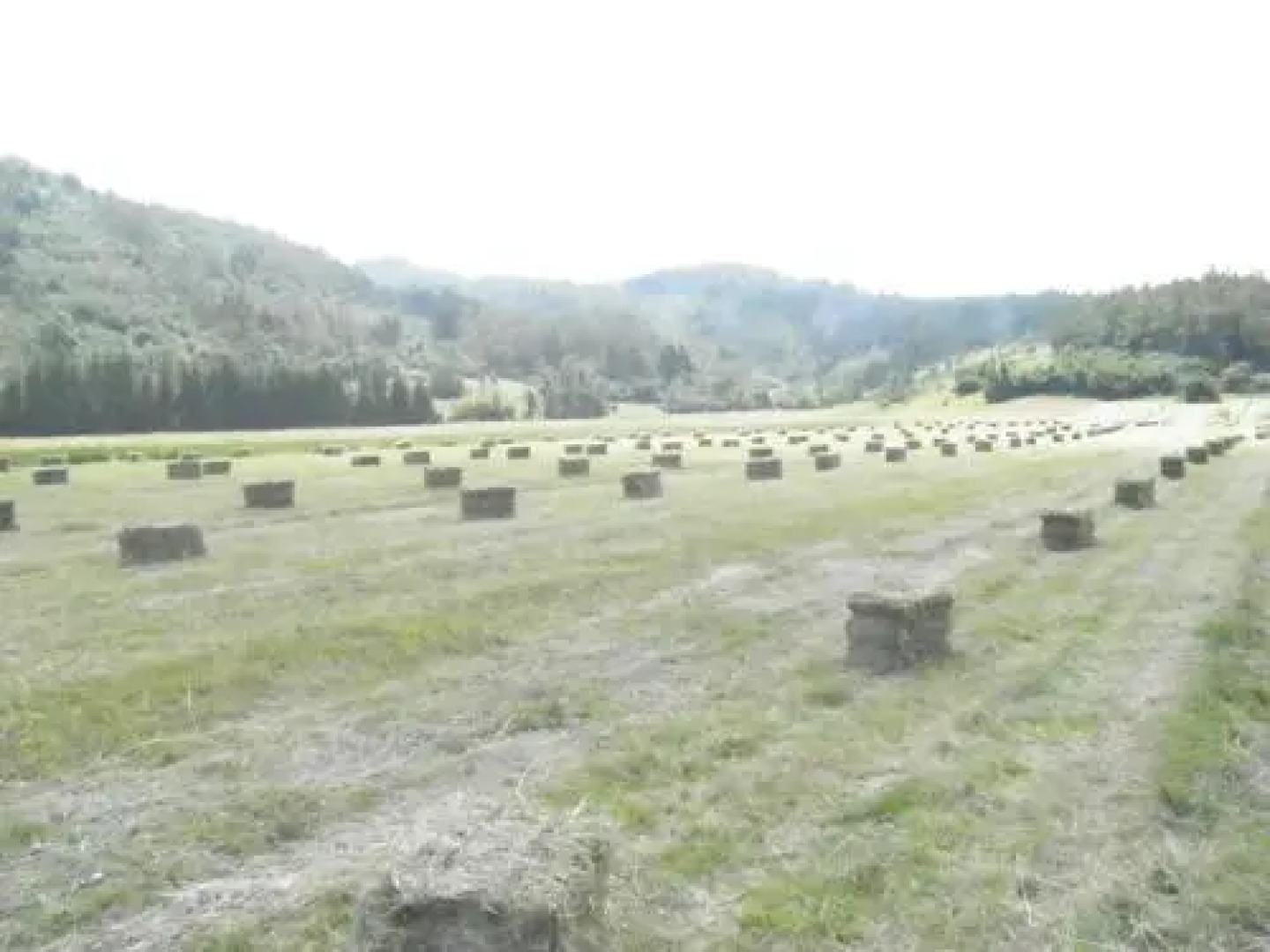 Apartment Doris Mrkopalj