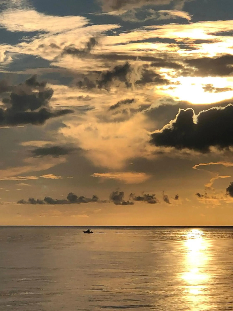 Transit House 5S Terminal