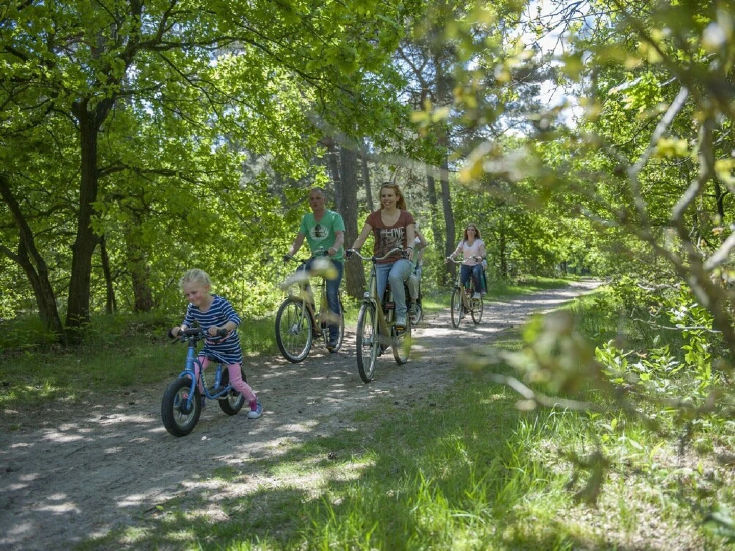 Forest Trails & Swimming Fun