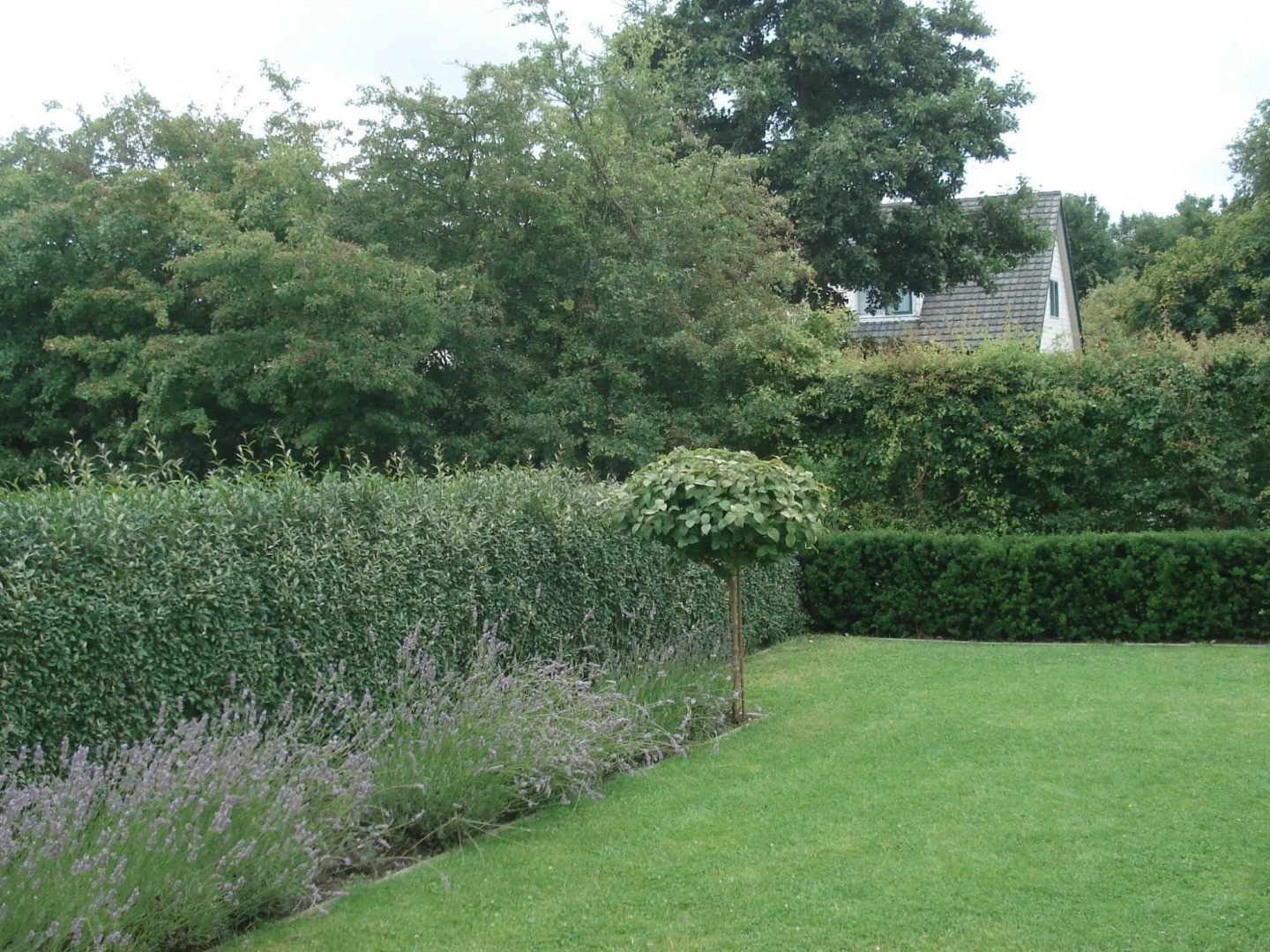 Luring Holiday Home in Callantsoog near Sea