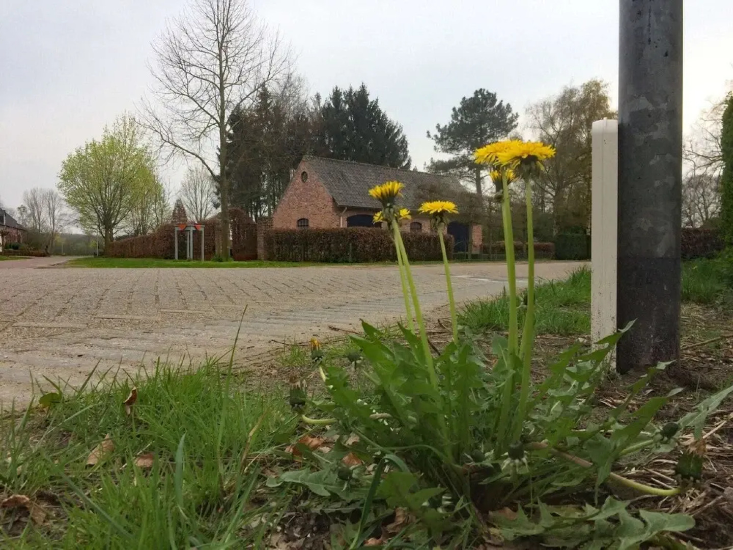 Lovely Holiday Home in Valkenswaard near Forest