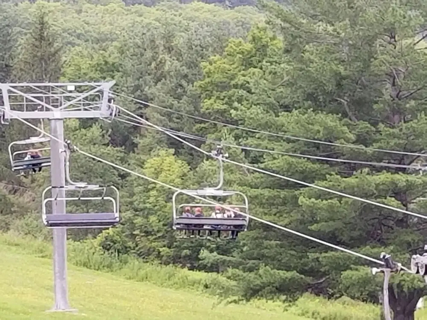 Primrose Hill Bed and Breakfast