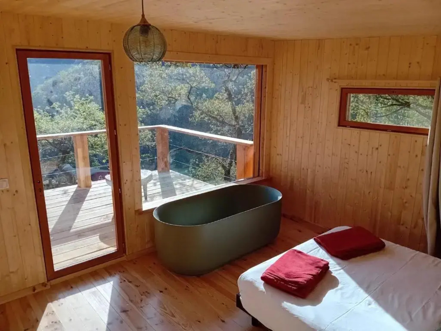 Hetre Sous Le Charme