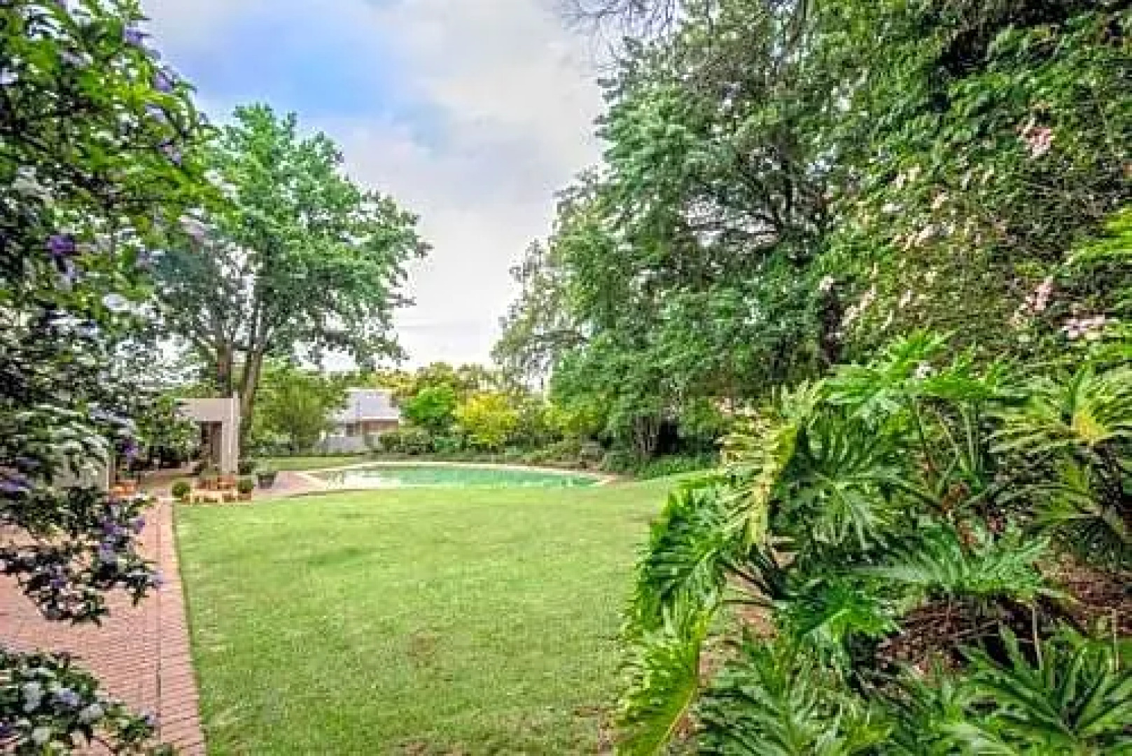 Wild Olive Executive Suite