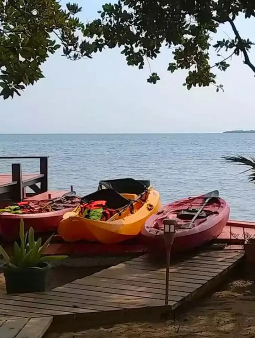 Bird Island Placencia