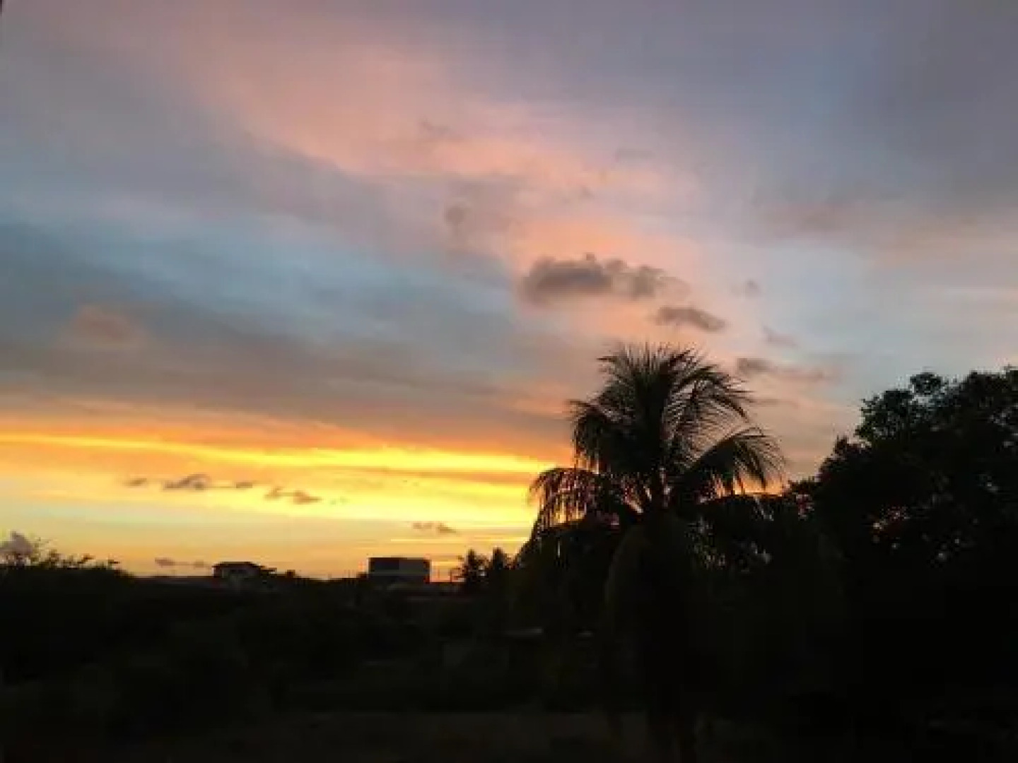 Hostel Casa Dos Girassóis