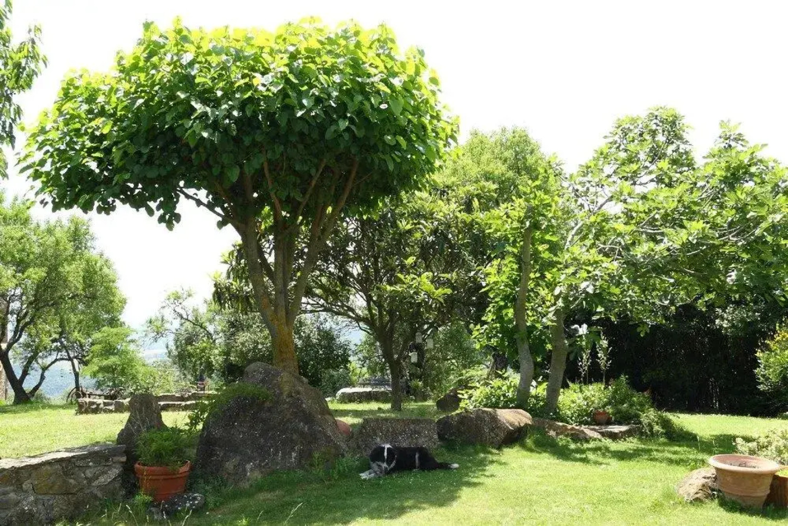 B&B La Casetta Nel Bosco