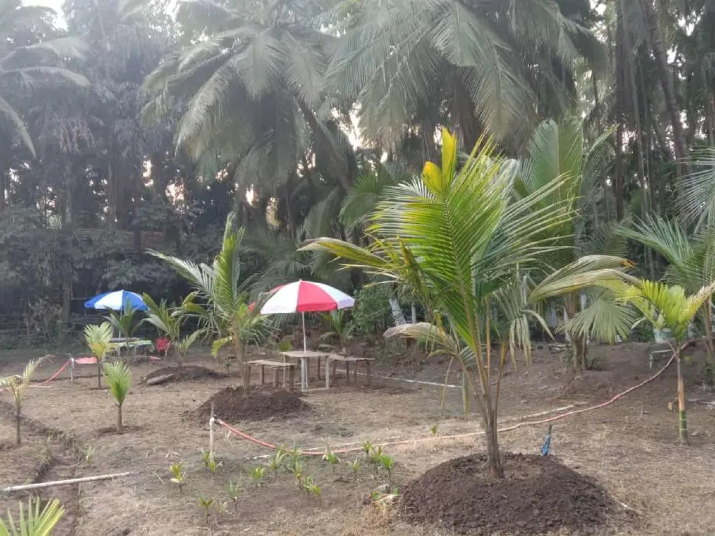 Ballaleshwar cottage