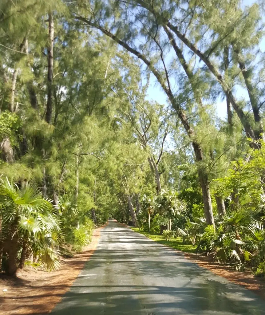 Savannah House by Eleuthera Vacation Rentals