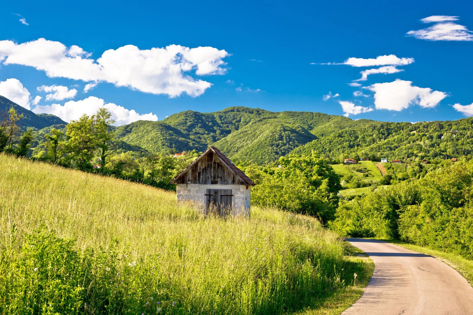 Old House Vlašić