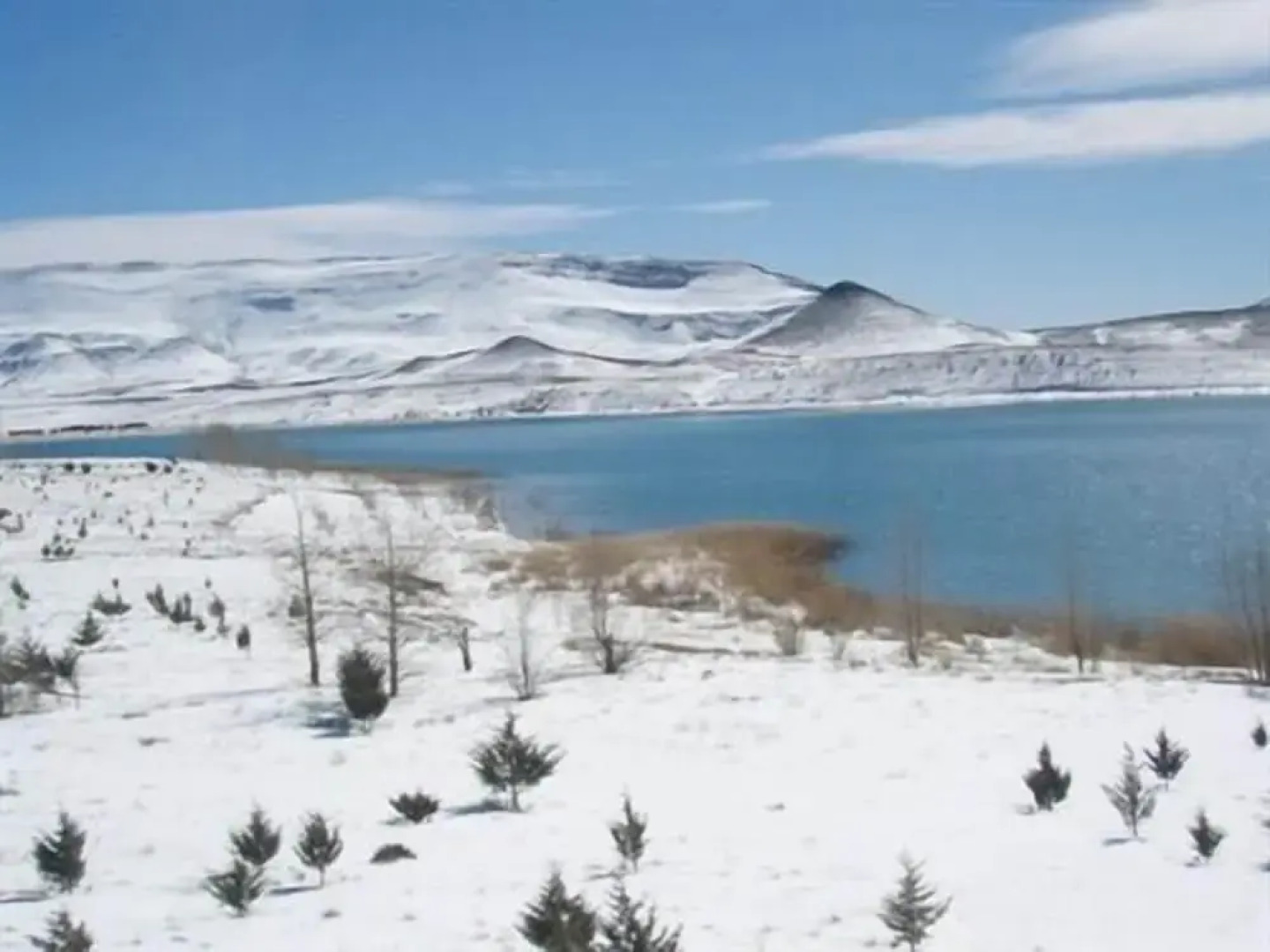 Complexe Collier D'Ambre