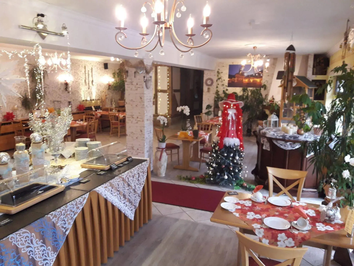 Altstadt Pension Orchidee