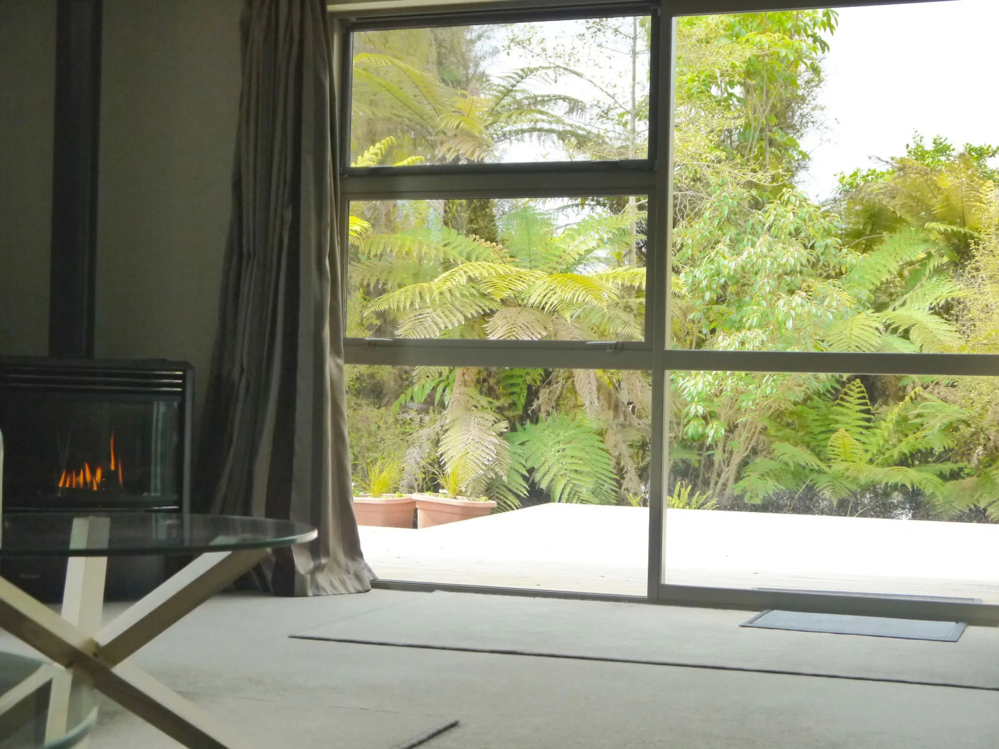 Franz Josef Treetops