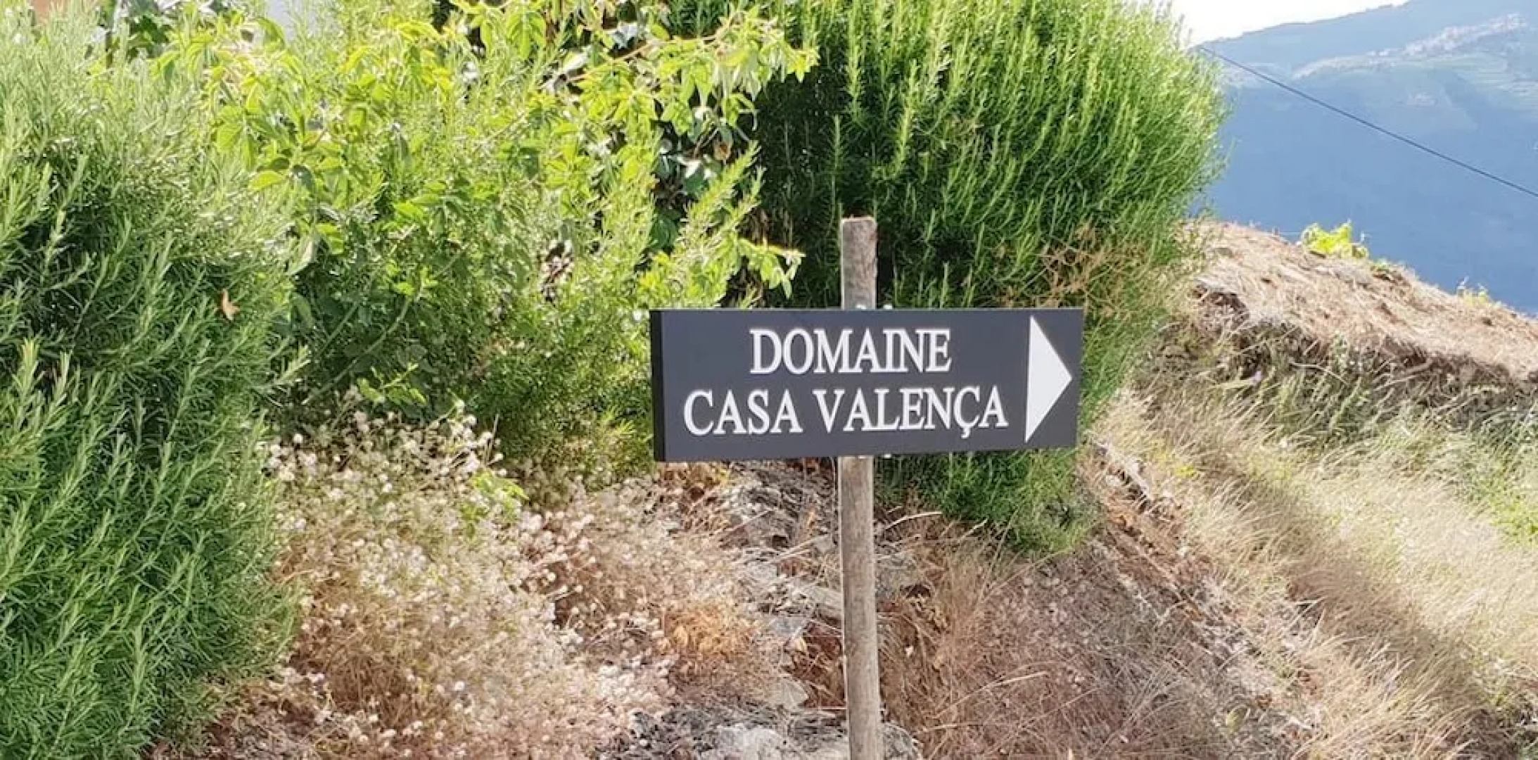 Domaine Casa Valenca