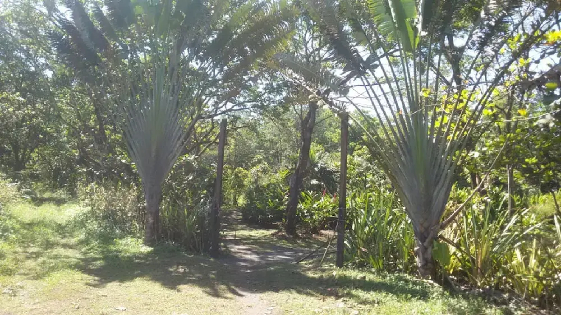 Green Gold Ecolodge