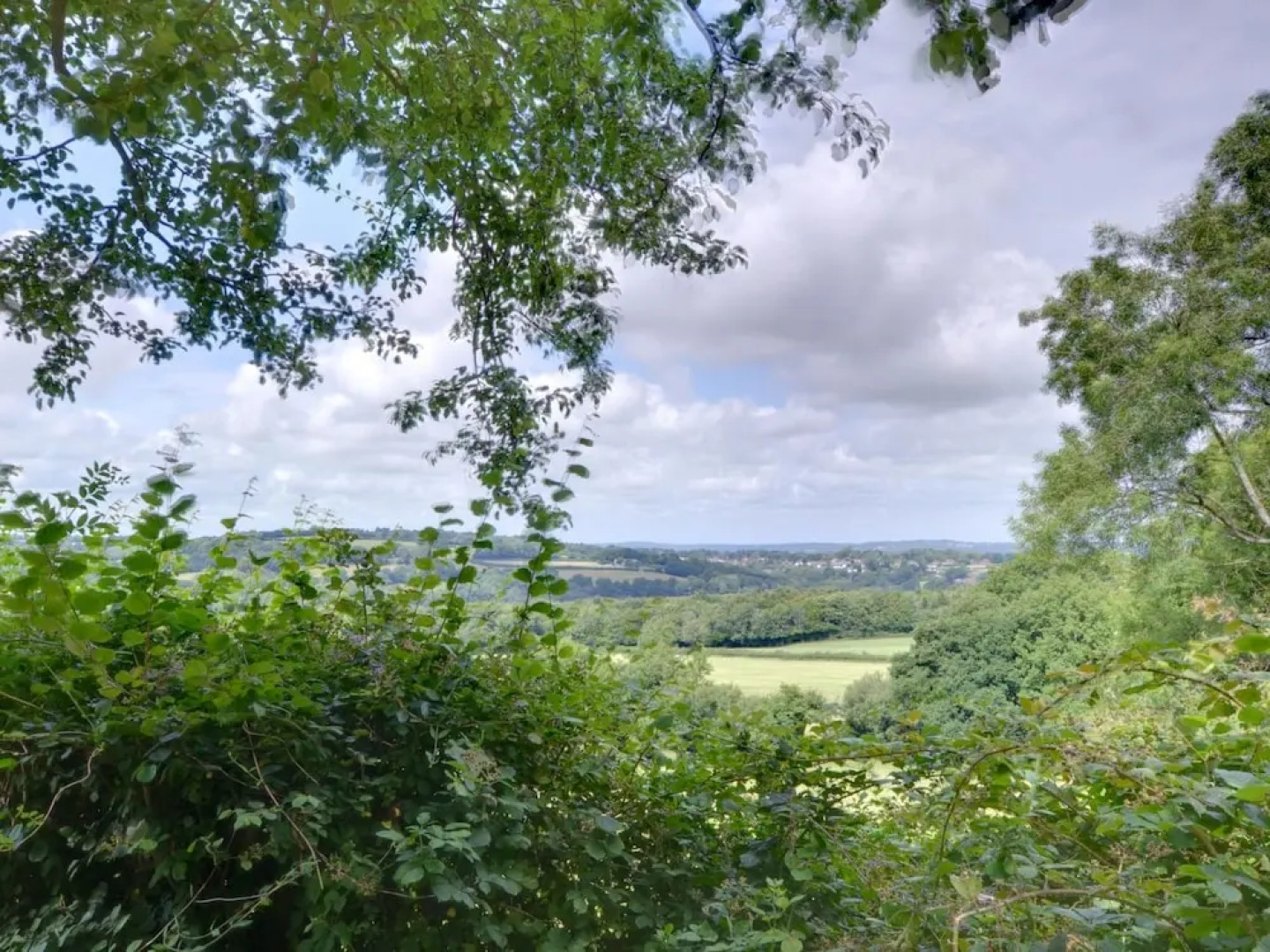 Detached Holiday Home in Beautiful Forest Location in Brightling