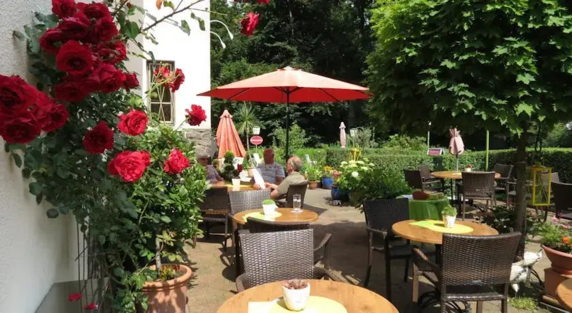 Hotel Waldschloesschen